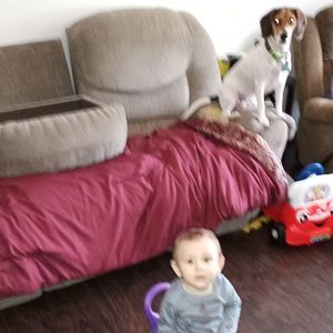 Meet your Posher, S james